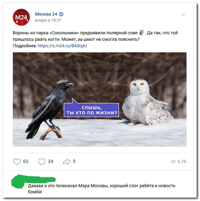 Забавные комментарии из социальных сетей