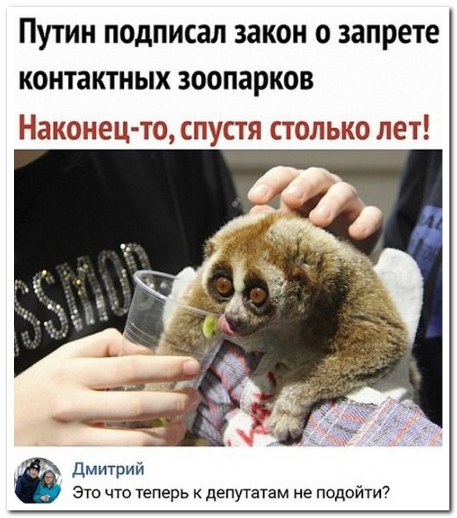 Забавные комментарии из социальных сетей