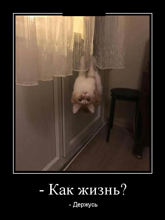 Демотиваторы