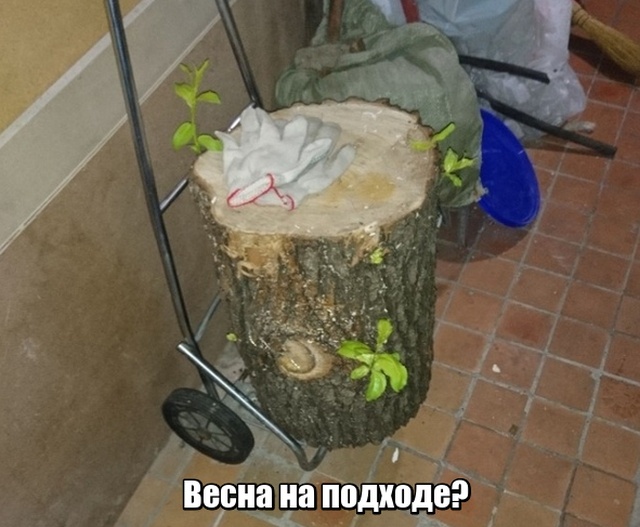 Прикольные картинки