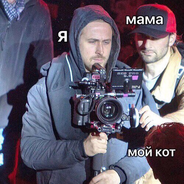 Прикольные картинки