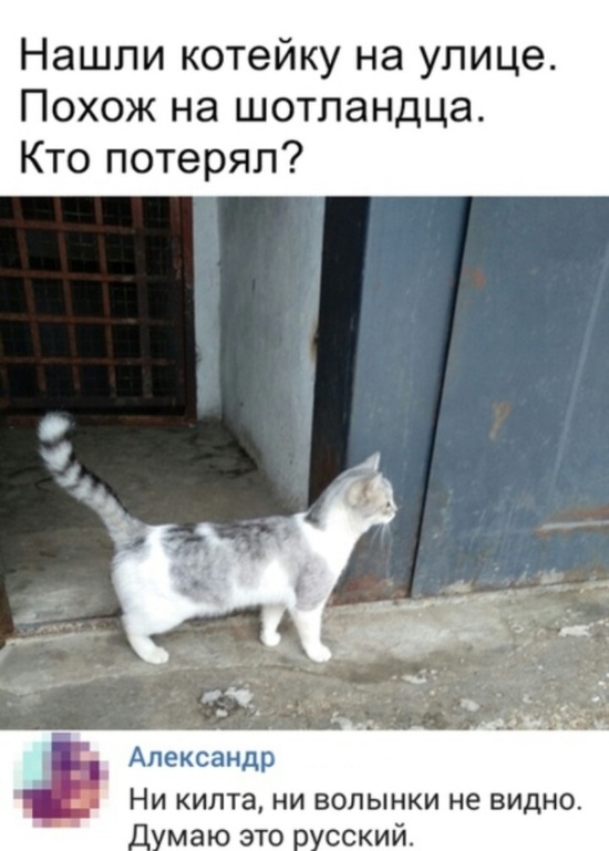 Прикольные картинки