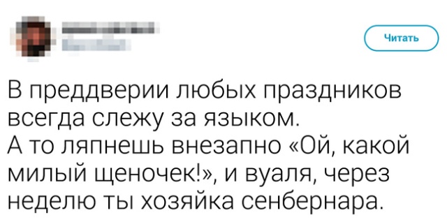 Высказывания и едкие комментарии пользователей сети