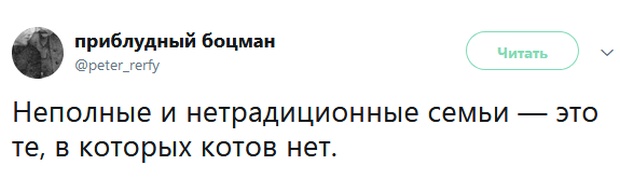 Высказывания и едкие комментарии пользователей сети