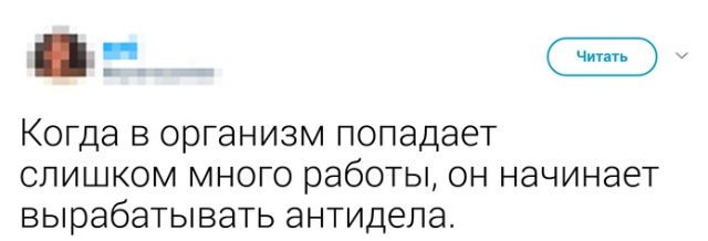 Высказывания и едкие комментарии пользователей сети