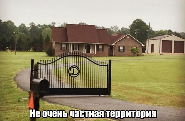Вещи, в существование которых начинаешь верить только после просмотра фотографий