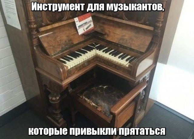Вещи, в существование которых начинаешь верить только после просмотра фотографий