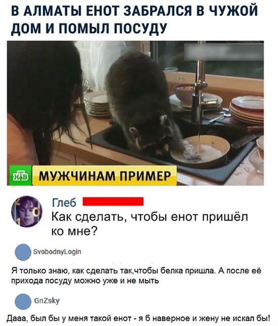 Юмор и комментарии из социальных сетей