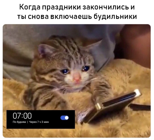 Праздничный юмор про долгие выходные