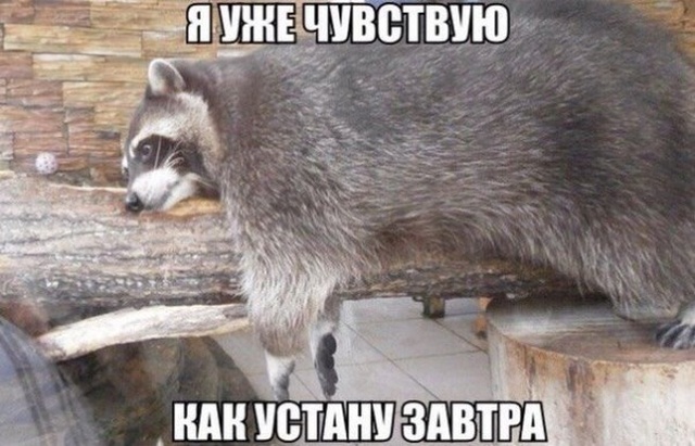 Праздничный юмор про долгие выходные