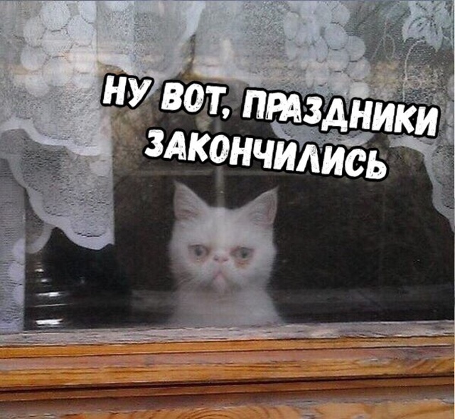 Праздничный юмор про долгие выходные