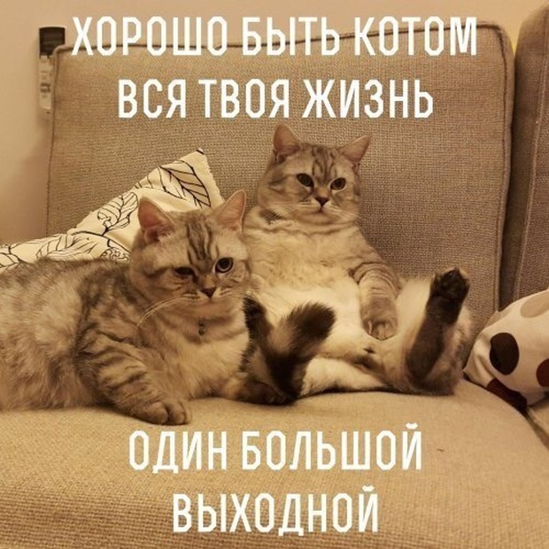 Праздничный юмор про долгие выходные