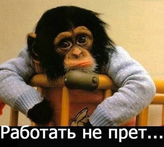 Праздничный юмор про долгие выходные