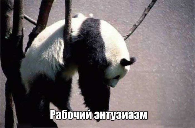 Праздничный юмор про долгие выходные