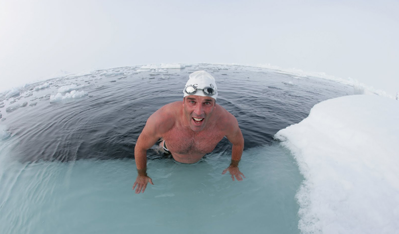 История появления моржей