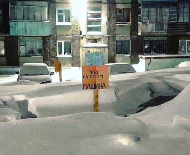 Прикольные картинки