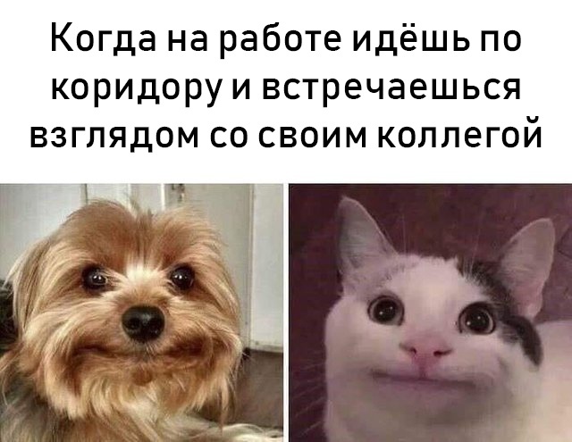 Прикольные картинки
