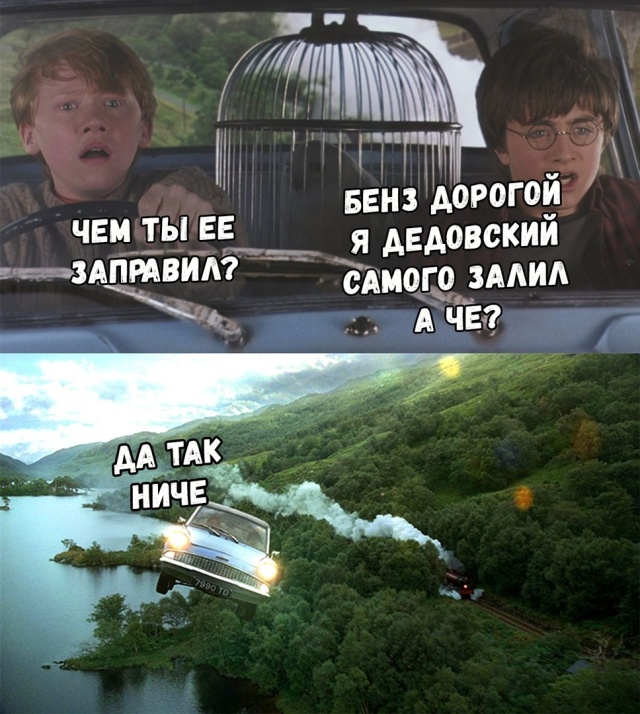 Прикольные картинки
