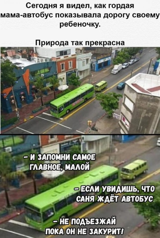 Прикольные картинки