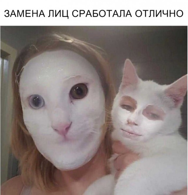 Прикольные картинки