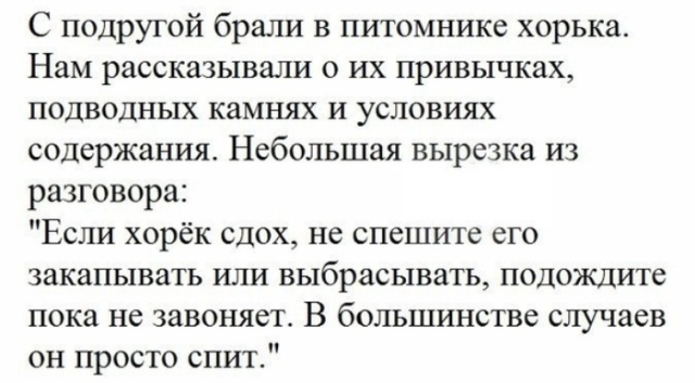 Люди делятся своими жизненными историями в социальных сетях