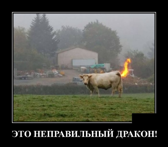 Демотиваторы