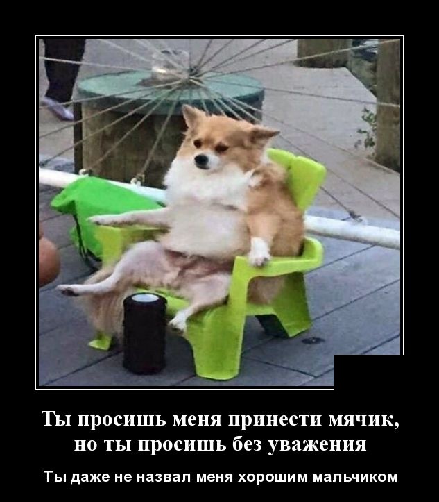 Демотиваторы