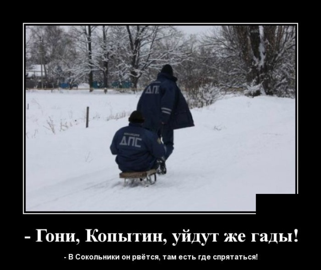 Демотиваторы
