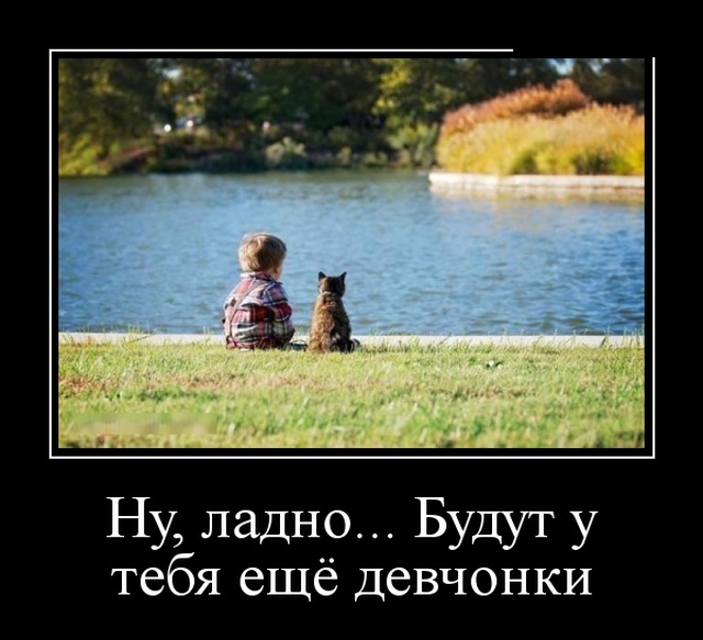Демотиваторы