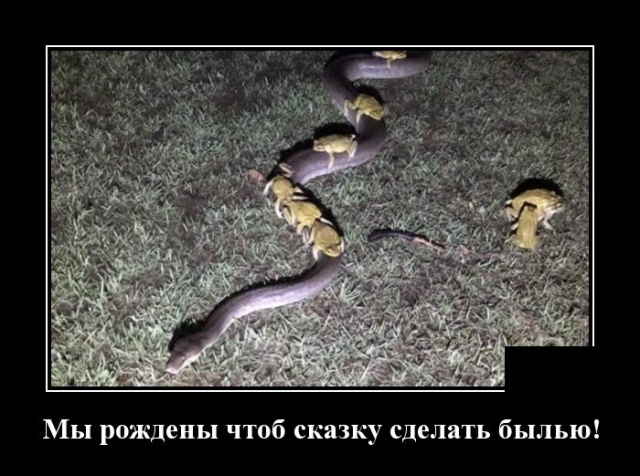Демотиваторы