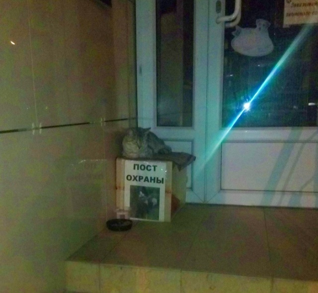 Прикольные картинки