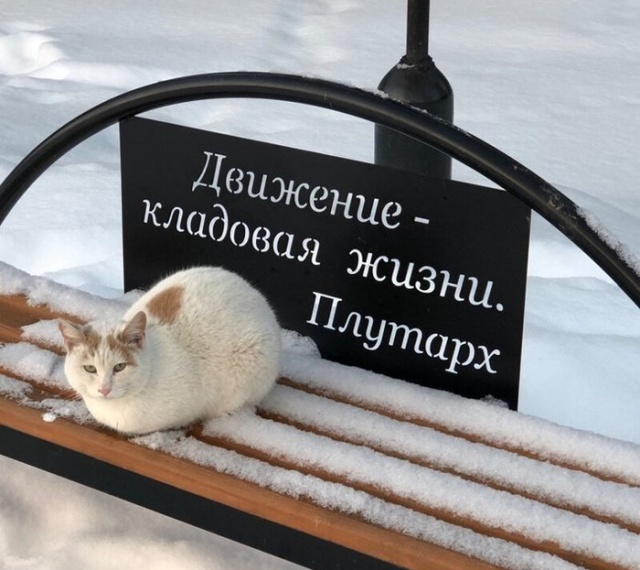 Прикольные картинки