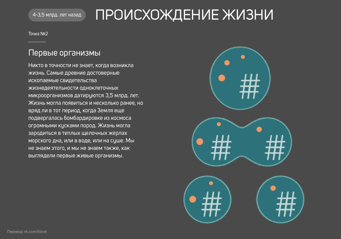 История Земли в 25 поворотных точках