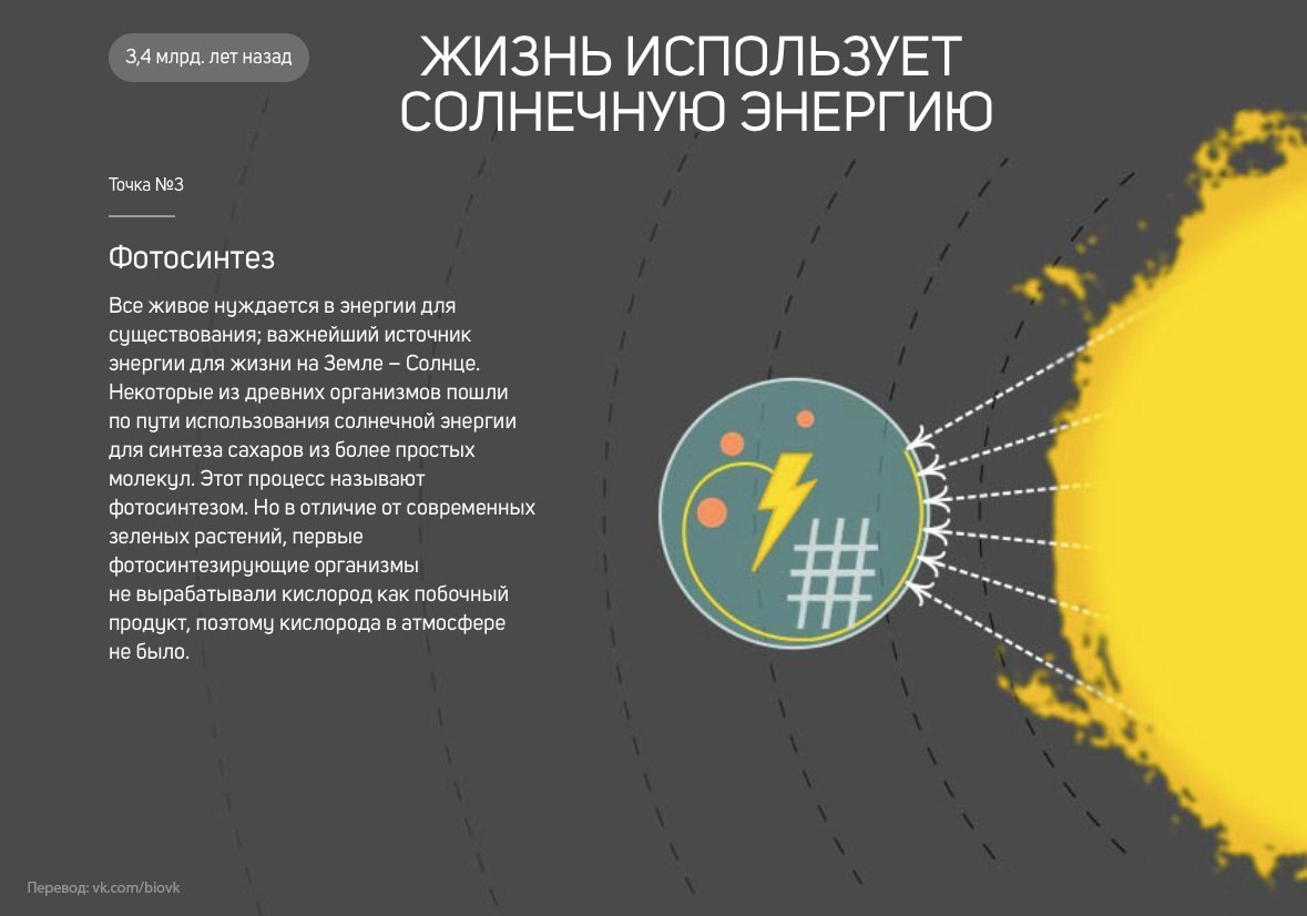 История Земли в 25 поворотных точках