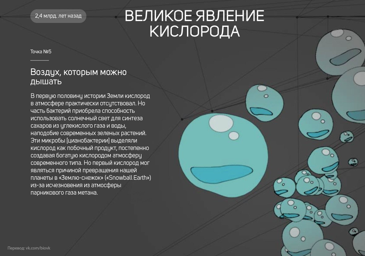 История Земли в 25 поворотных точках