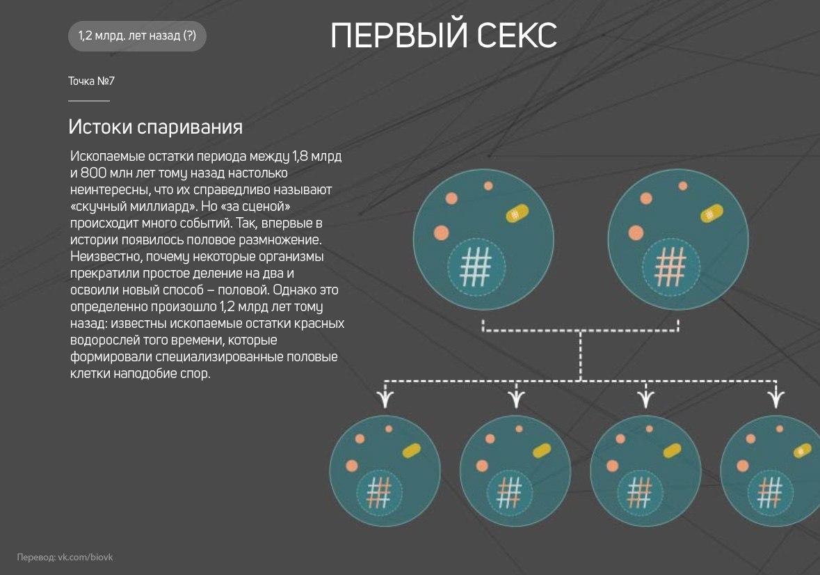 История Земли в 25 поворотных точках