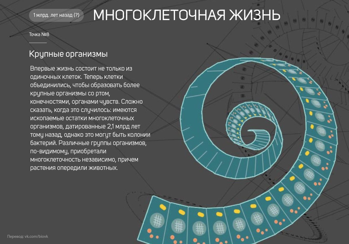 История Земли в 25 поворотных точках