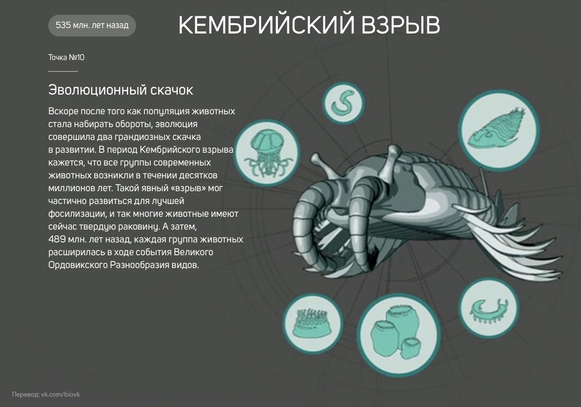 История Земли в 25 поворотных точках