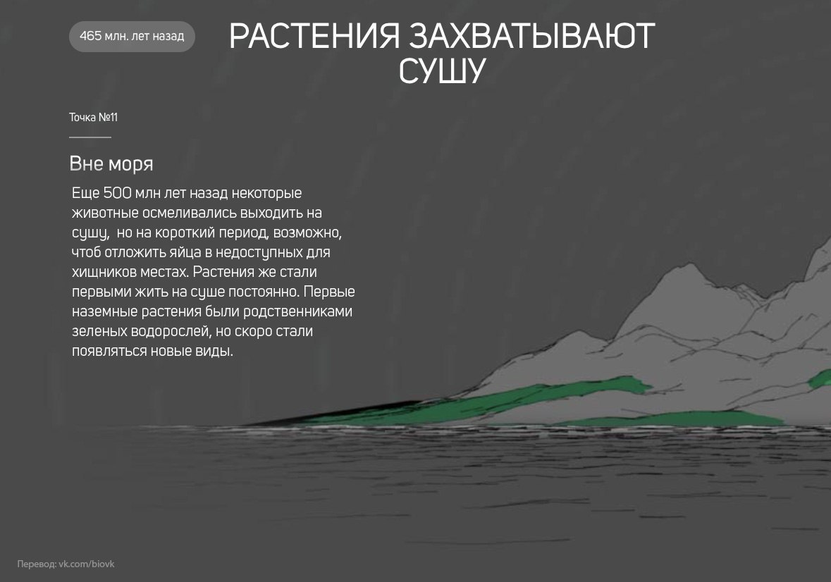 История Земли в 25 поворотных точках