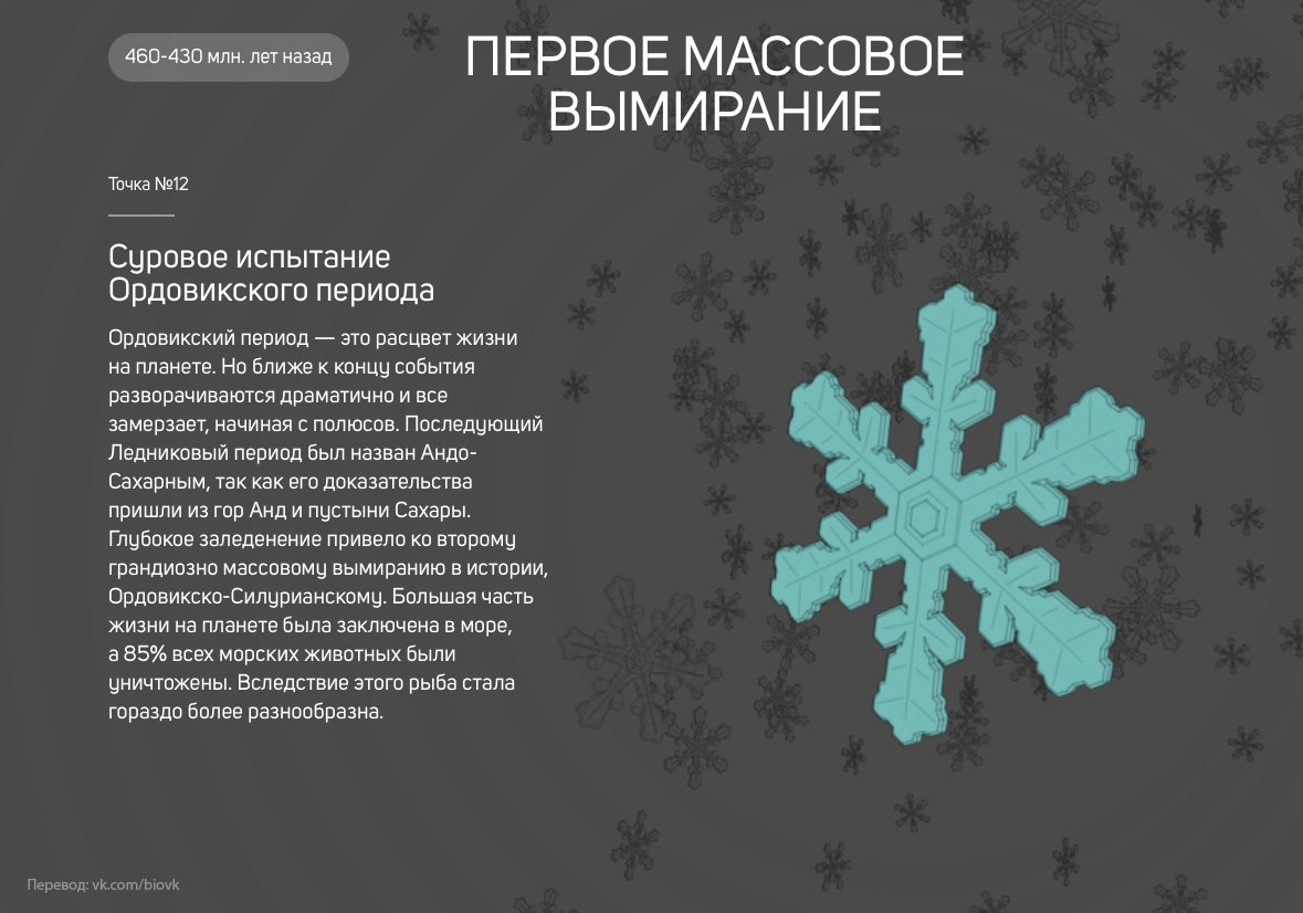 История Земли в 25 поворотных точках