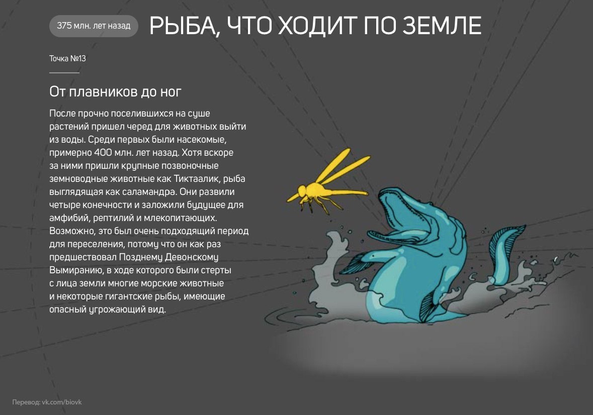 История Земли в 25 поворотных точках
