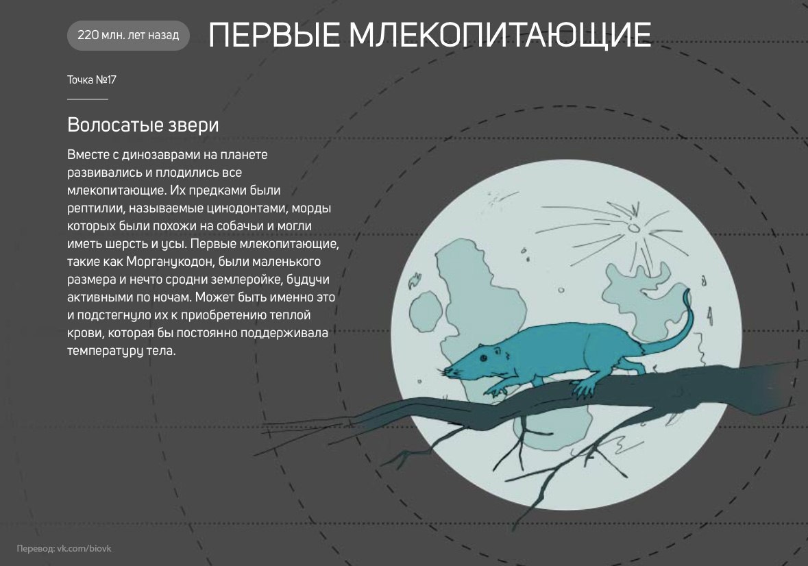 История Земли в 25 поворотных точках