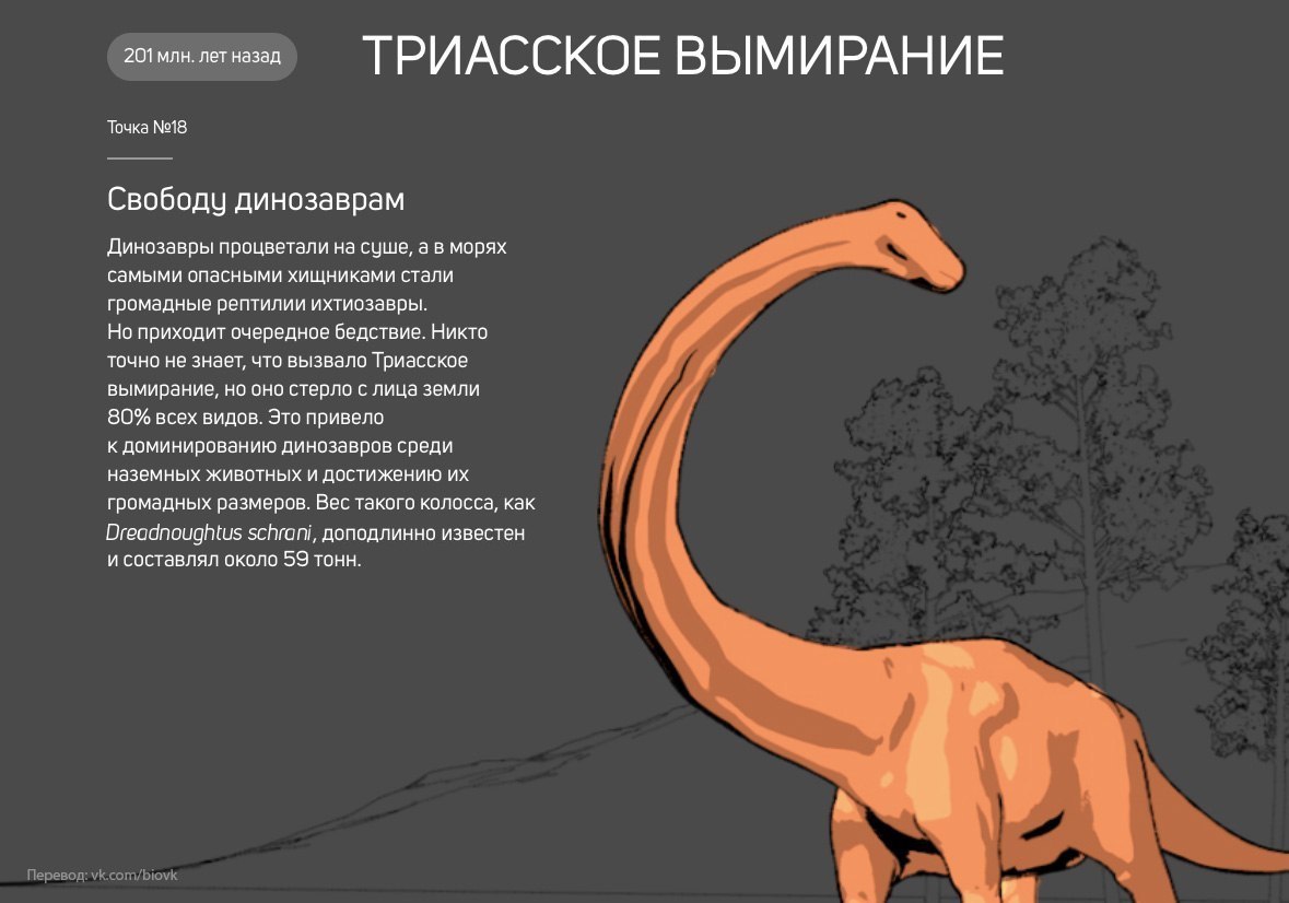 История Земли в 25 поворотных точках