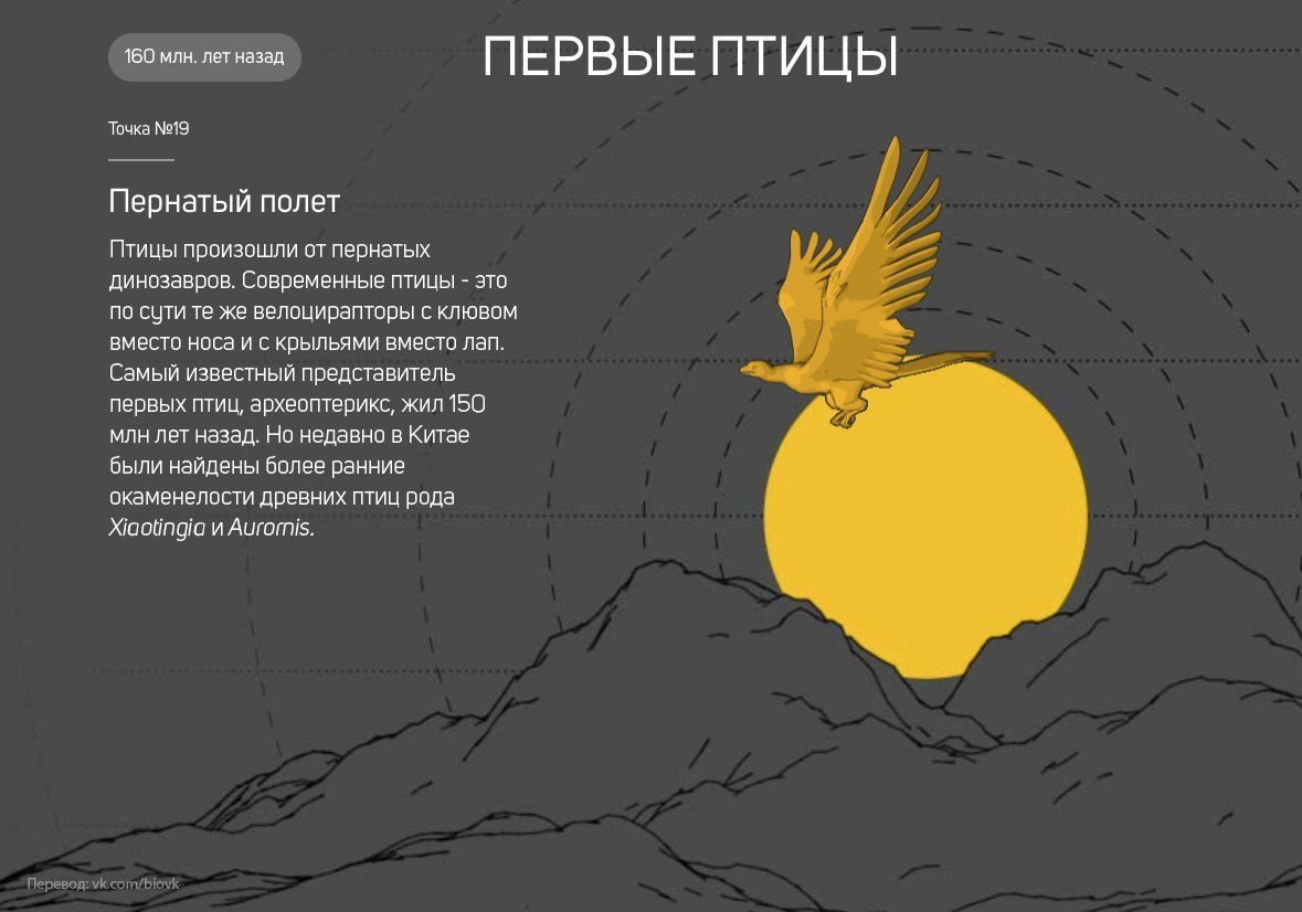 История Земли в 25 поворотных точках
