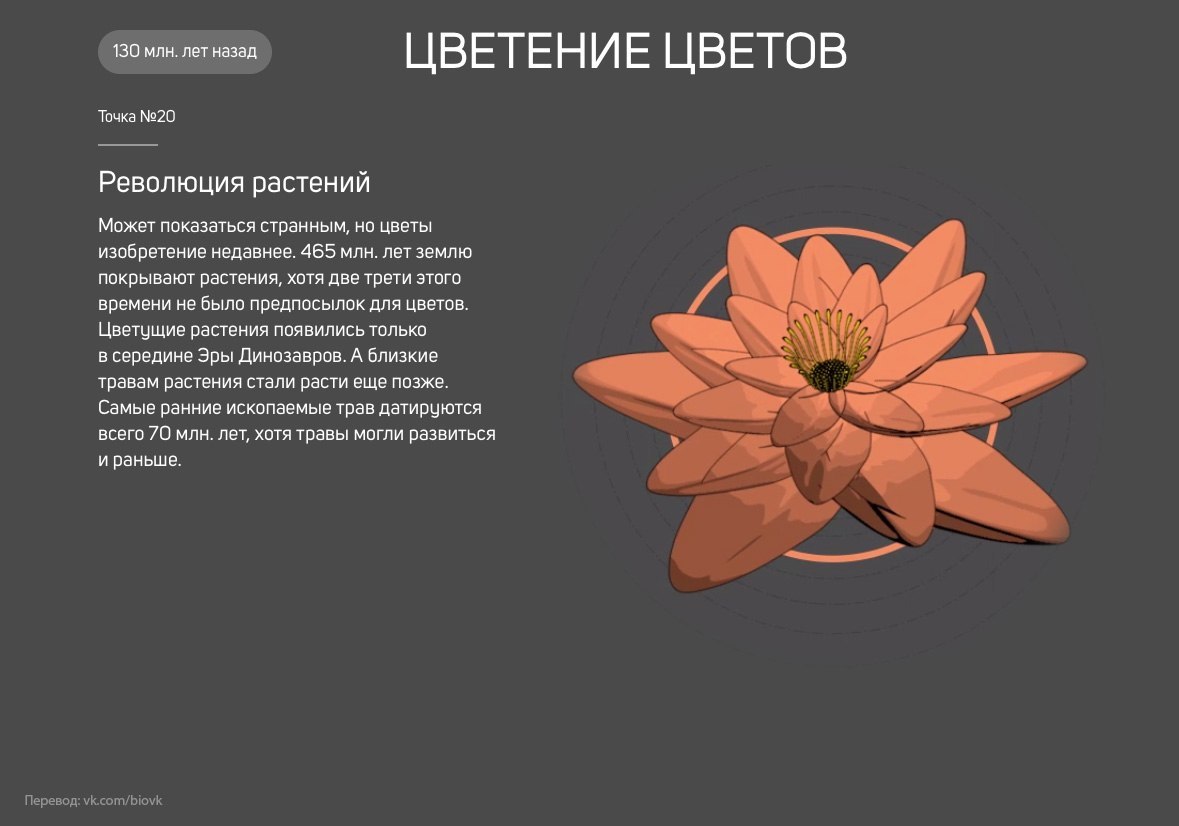 История Земли в 25 поворотных точках