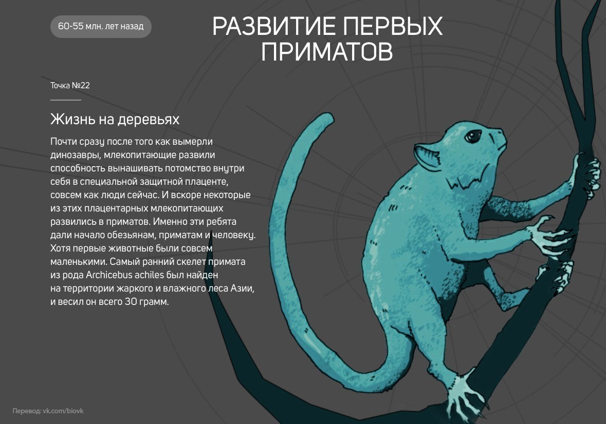 История Земли в 25 поворотных точках