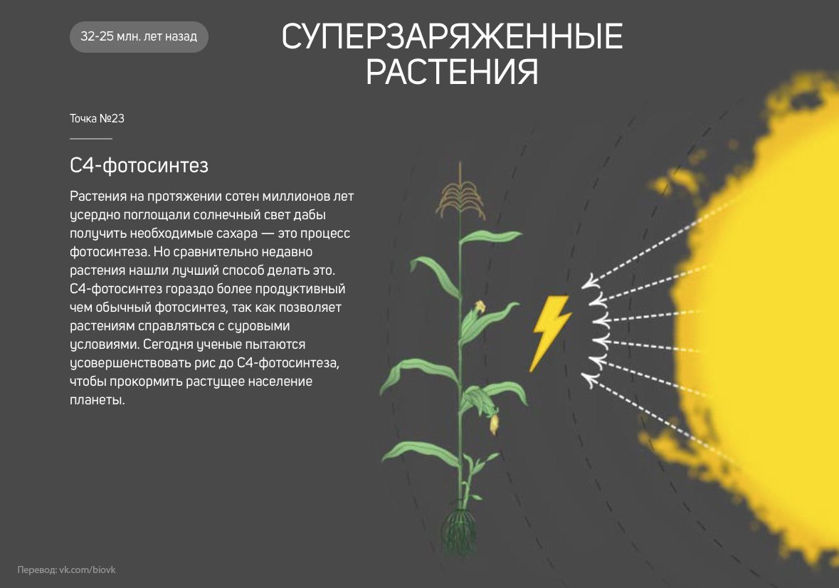 История Земли в 25 поворотных точках