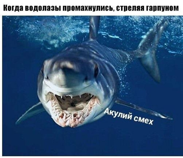 Нестандартный юмор с просторов сети