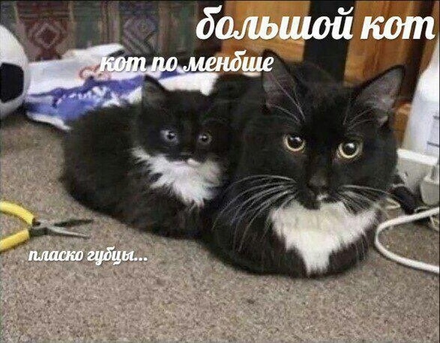 Нестандартный юмор с просторов сети