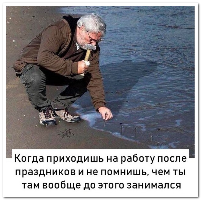 Забавные комментарии из социальных сетей